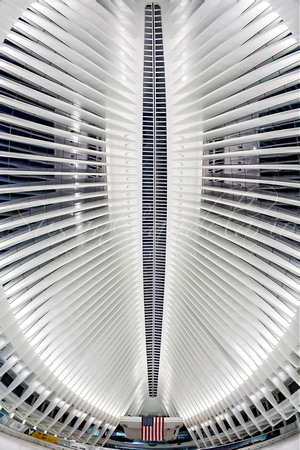 Oculus World Trade Center WTC Skylight