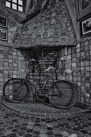 Vintage Bicycle BW
