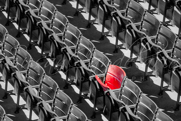 Lone Red Number 12 Fenway Park BW