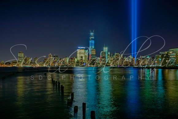 Tribute In Lights