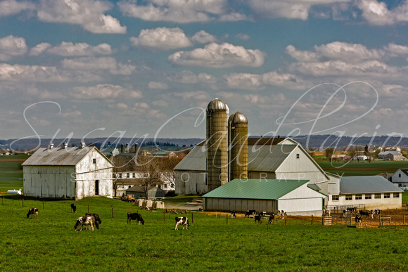 Lancaster Pennsylvania Farms