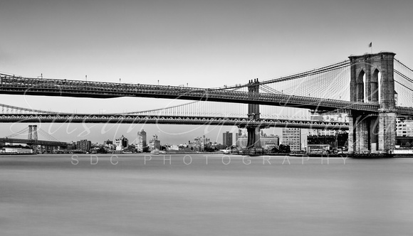 New York City Bridges BMW BW