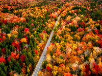 White Mountains NH Fall Foliage_