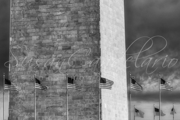 Washington Monument And USA Flags BW