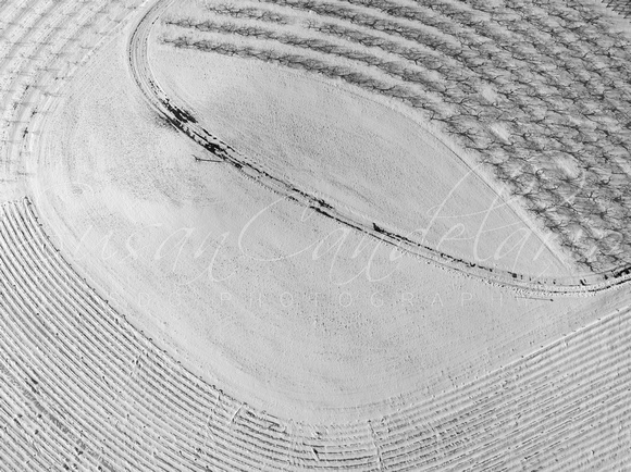 Agricultural Patterns Aerial