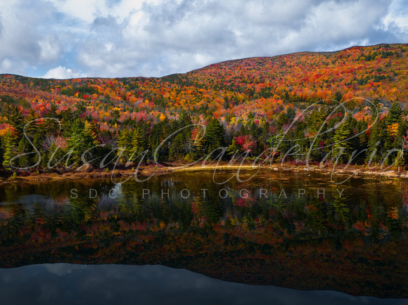 Lily Pond White Mountains NH Fall_
