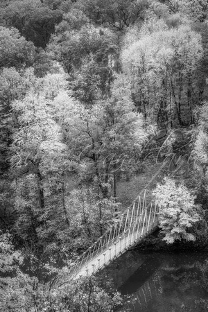 Bear Mountain Footbridge V