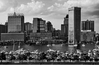 Federal Hill View To The Baltimore Skyline BW