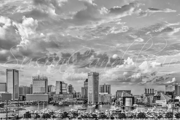 Baltimore Harbor Skyline BW
