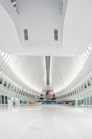 Oculus WTC Transportation Hub