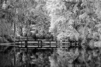 Red Bridge Magnolia Gardens BW