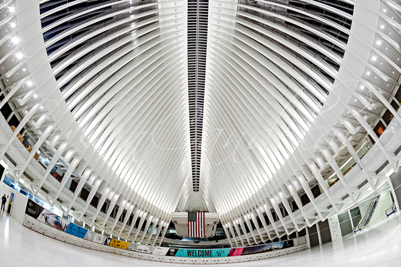 Oculus World Trade Center WTC Hub