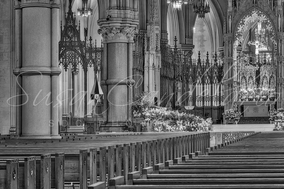 Cathedral Basilica Of The Sacred Heart Newark NJ BW