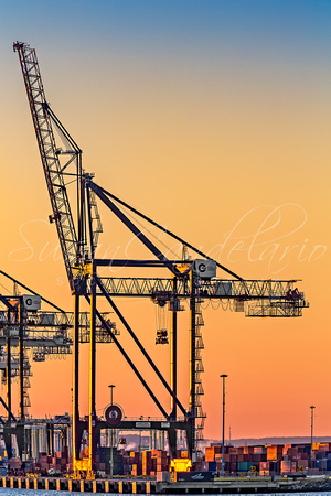 Global Containers Terminal Cargo Freight Cranes