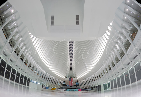 Oculus World Trade Center WTC Transportation Hub