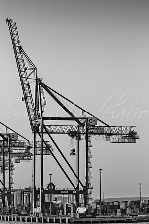 Global Containers Terminal Cargo Freight Cranes BW