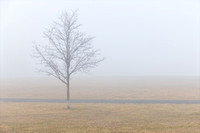 Secaucus Morning Fog