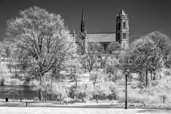 Cathedral Basilica of the Sacred Heart IR