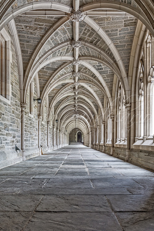 Princeton University Hallway II