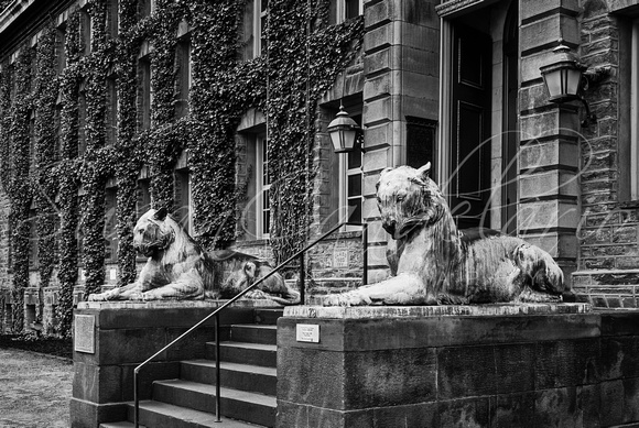 Princeton University Nassau Hall Tigers