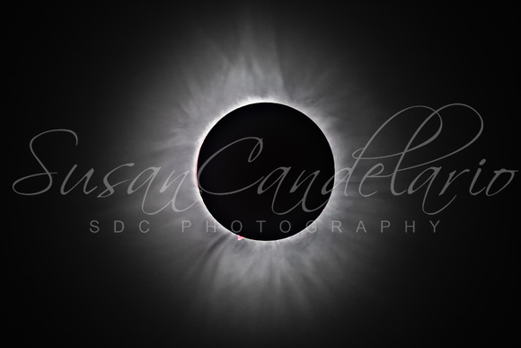 Total Solar Eclipse Corona US