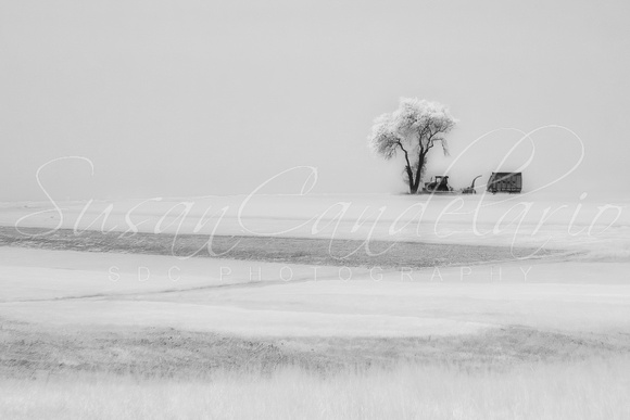 Amish Farmland IR II