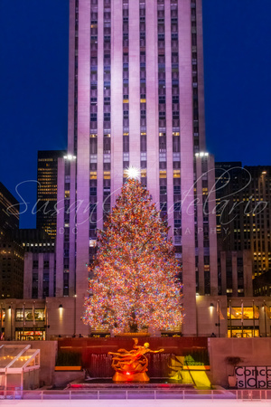 Rockefeller Center Christmas NYC II5440