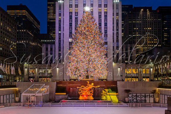 Rockefeller Center Christmas NYC5439