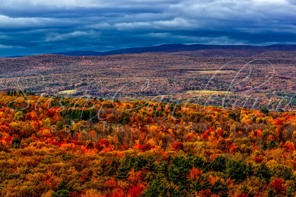 Hudson Valley NY Autumn