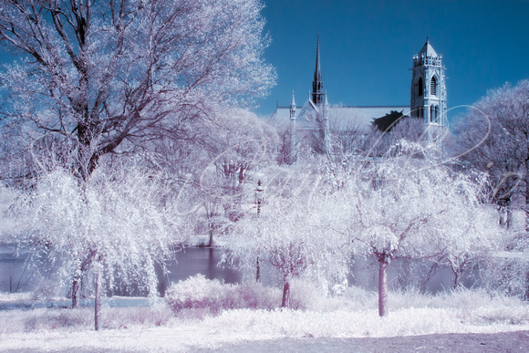 Cathedral Basilica The Sacred Heart IR