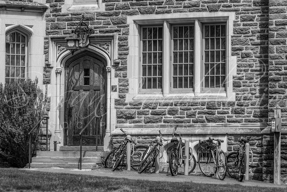 Princeton University Patton Hall  BW