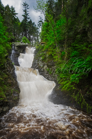 Raymondskill Waterfalls
