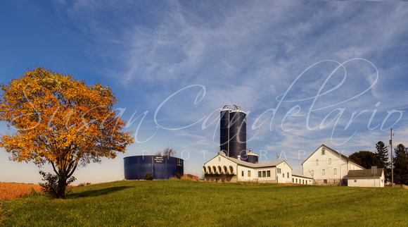 Lancaster Pennsylvania Farm
