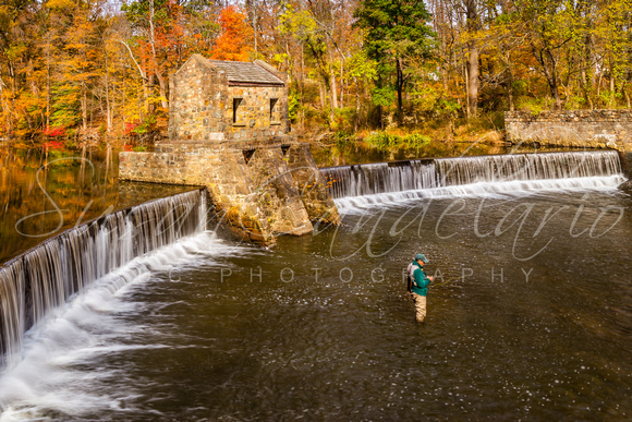 Speedwell Fly Fishing