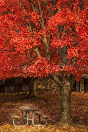Autumn Color Palette