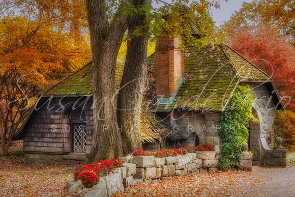 Cottage During Autumn