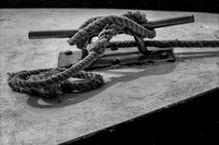 Tied Up And All Docked Up BW