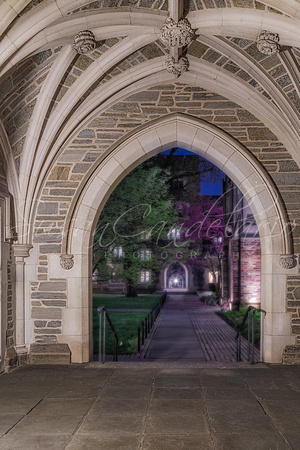 Princeton University Hallway