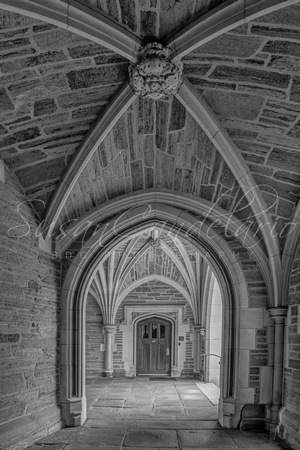 Princeton University Holder Hall Arches BW