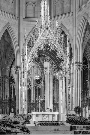 Saint Patricks Cathedral Altar BW