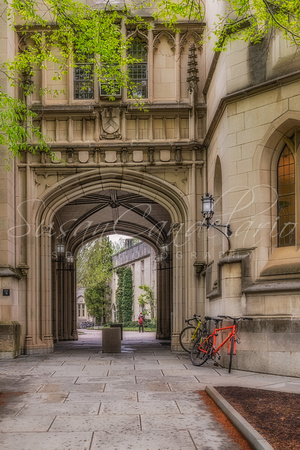 Princeton University Arches