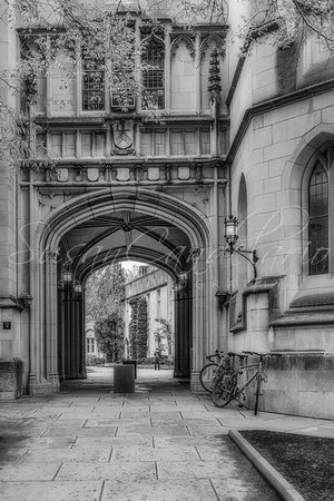 Princeton University Arches BW