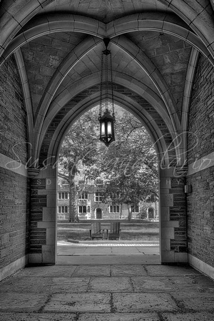 Princeton  University Campbell Hall  BW