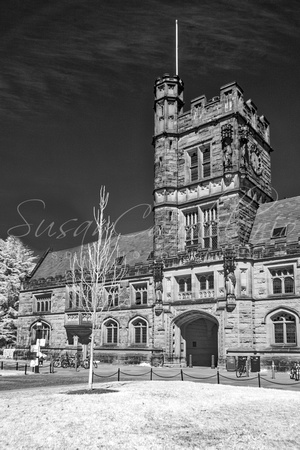 Princeton University Buyers Hall II