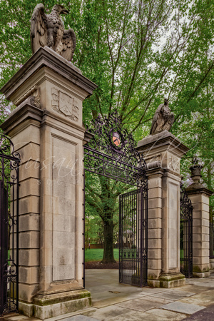 Princeton University Main Entrance Gate