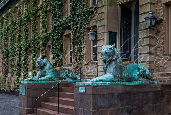 Princeton University Nassau Hall Tigers