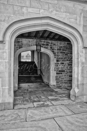 Princeton University Whitman College Arches BW