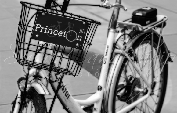 Princeton University Campus Bike BW