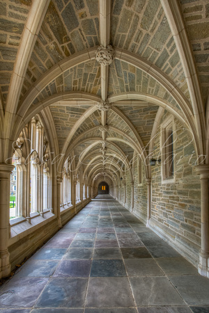 Princeton University Hallway III