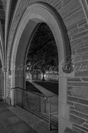 A view From Holder Hall Princeton University BW